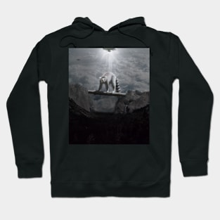 Lemur UFO Hoodie